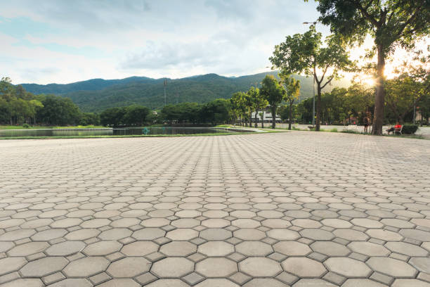 Best Professional Driveway Pavers  in Lynchburg, VA